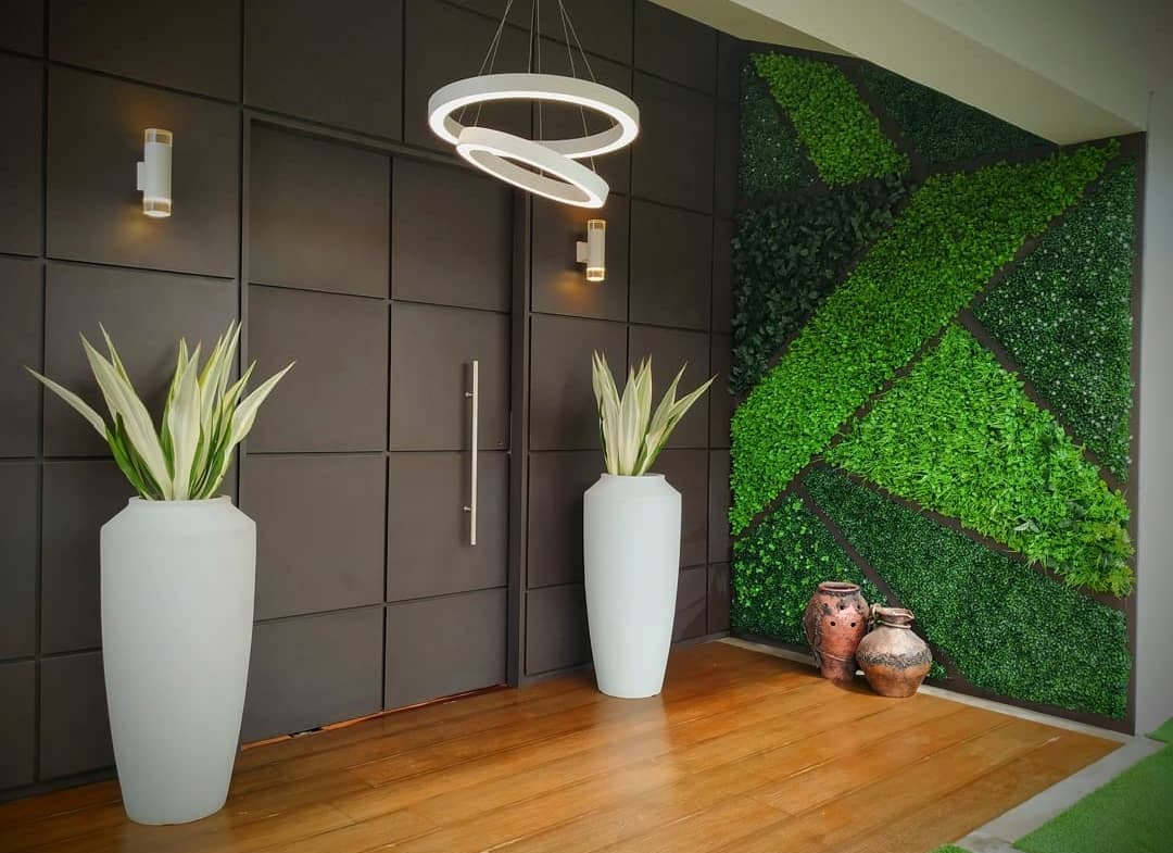 planta